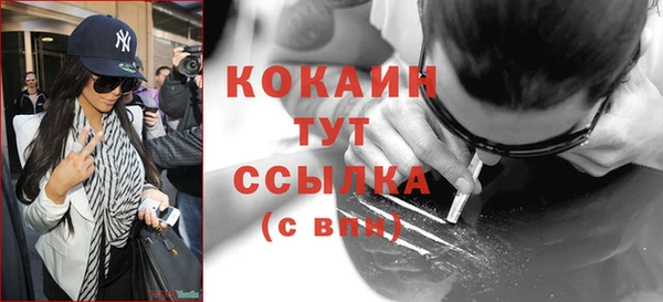 соль ск Абаза