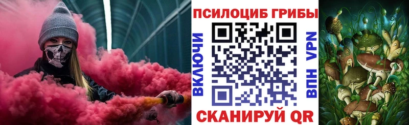 где продают   Яблоновский  Псилоцибиновые грибы Cubensis 